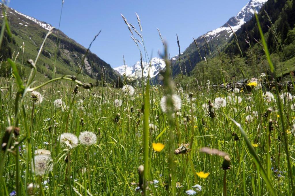 Hotel Garni Roesslhof Hollersbach im Pinzgau Zewnętrze zdjęcie