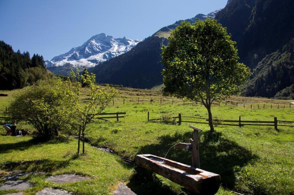 Hotel Garni Roesslhof Hollersbach im Pinzgau Zewnętrze zdjęcie